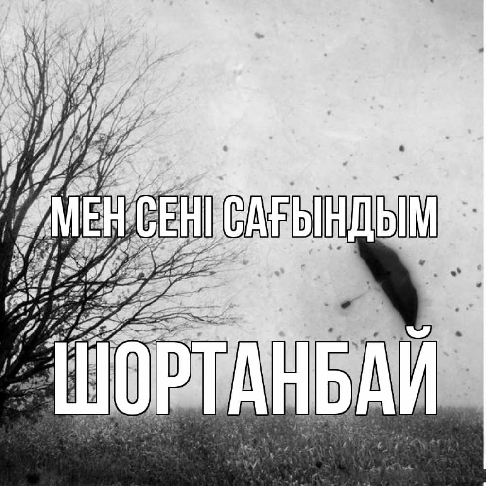 Күн сайын ашық хат с именем, ШОРТАНБАЙ Мен сені сағындым зонт летит Онлайн тегін жүктеп алу тілектері бар керемет карта 