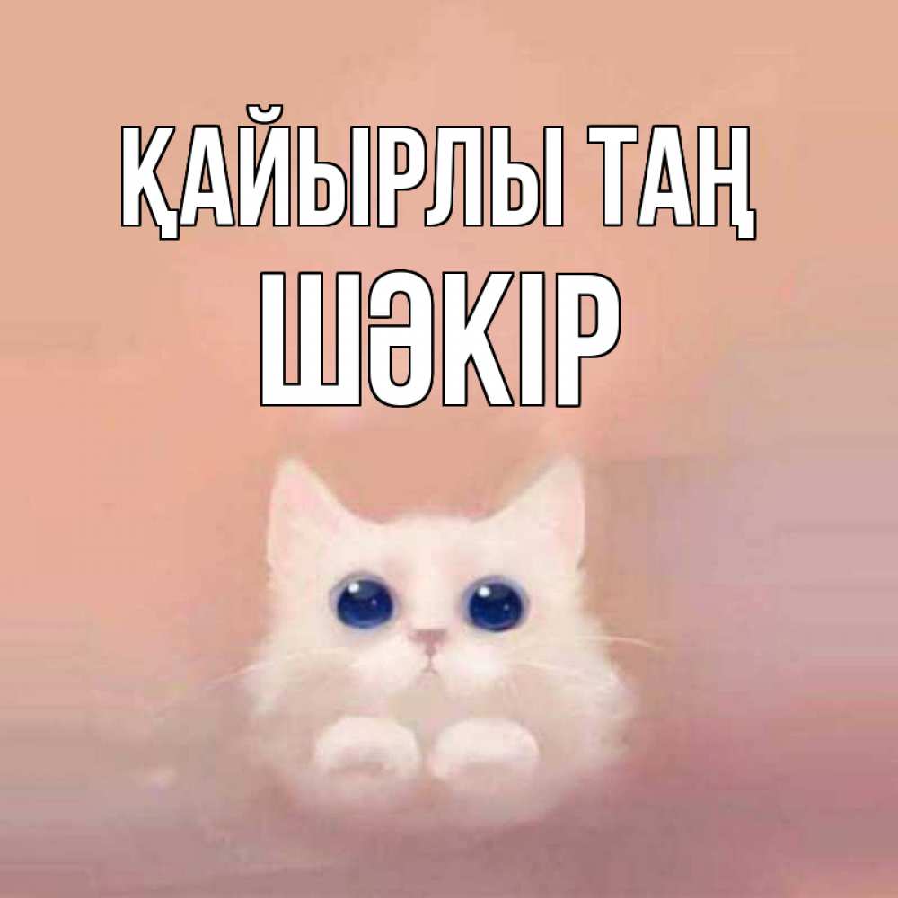 Күн сайын ашық хат с именем, ШӘКІР Қайырлы таң на розовом фоне Онлайн тегін жүктеп алу тілектері бар керемет карта 