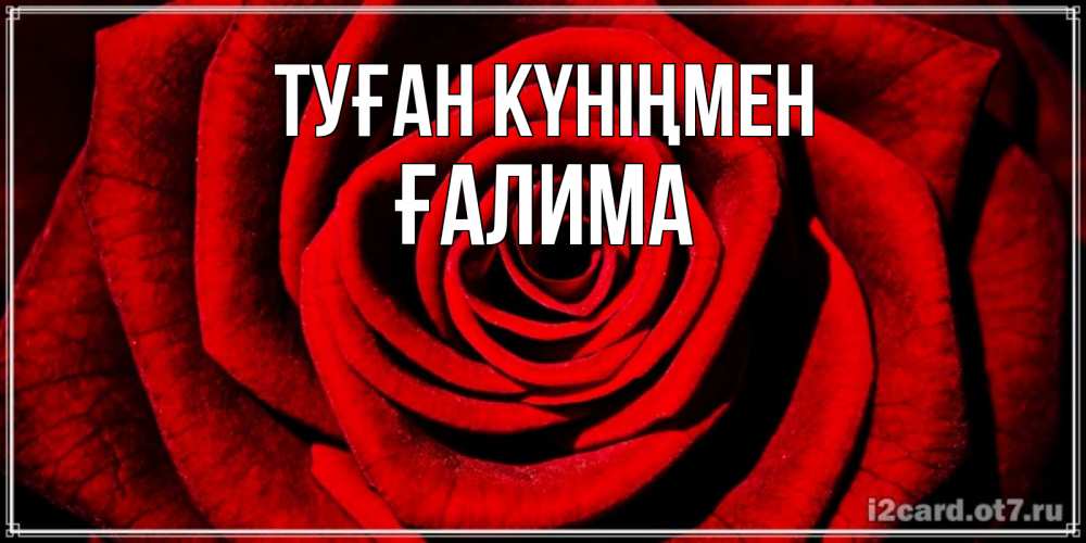 Күн сайын ашық хат с именем, ҒАЛИМА Туған күніңмен алая роза Онлайн тегін жүктеп алу тілектері бар керемет карта 