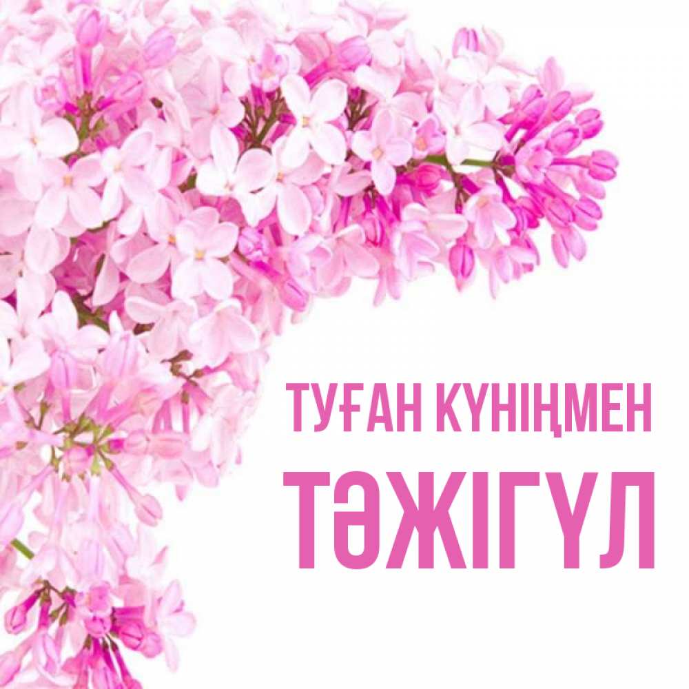 Күн сайын ашық хат с именем, ТӘЖІГҮЛ Туған күніңмен Сирень на белом фоне Онлайн тегін жүктеп алу тілектері бар керемет карта 