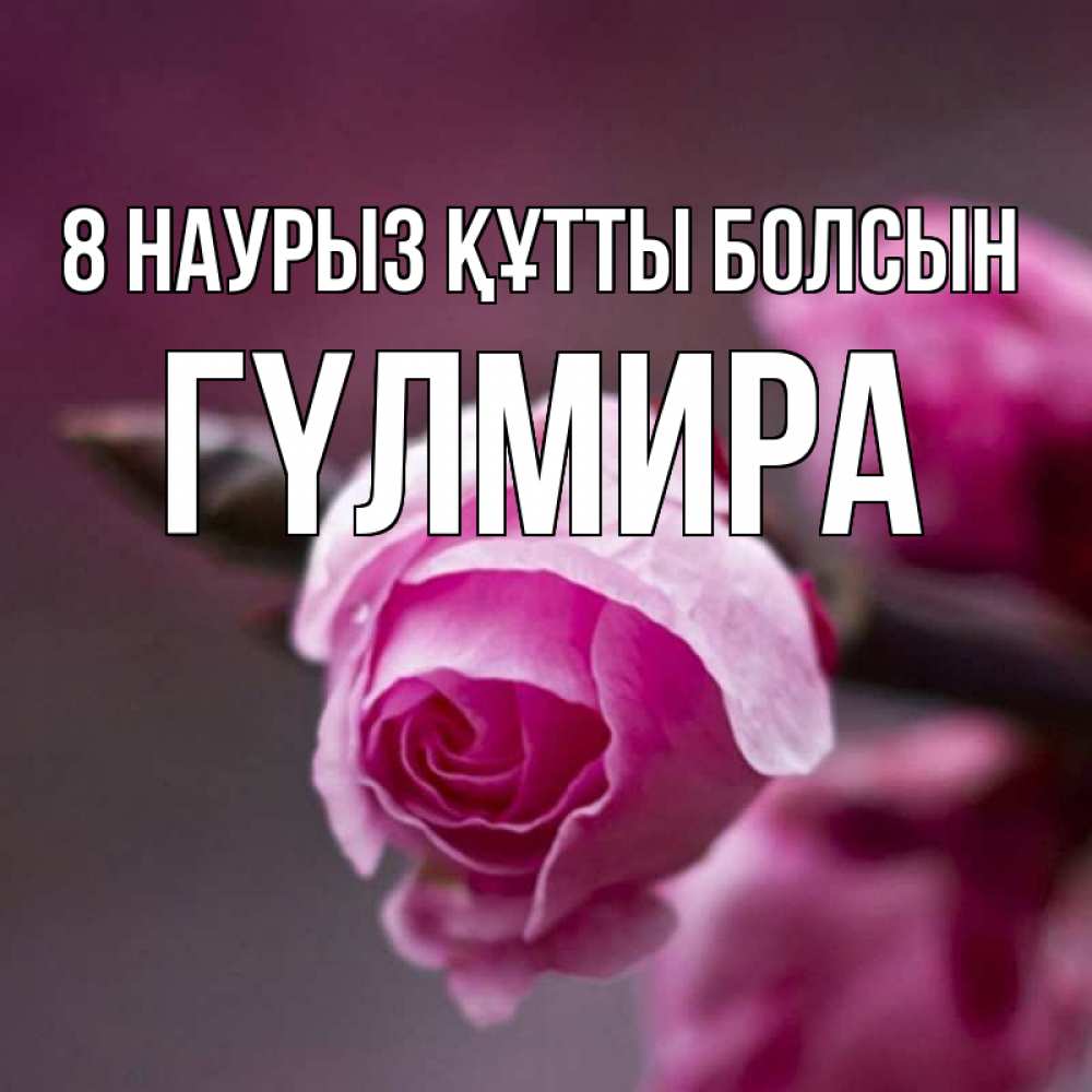 Күн сайын ашық хат с именем, ГҮЛМИРА 8 наурыз құтты болсын весна Онлайн тегін жүктеп алу тілектері бар керемет карта 