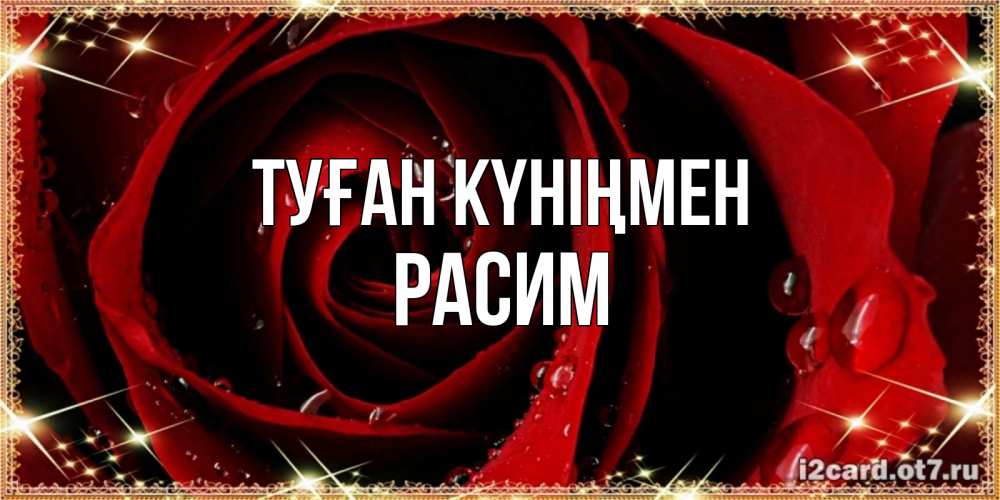 Күн сайын ашық хат с именем, Расим Туған күніңмен цветок в росе на день рождения Онлайн тегін жүктеп алу тілектері бар керемет карта 