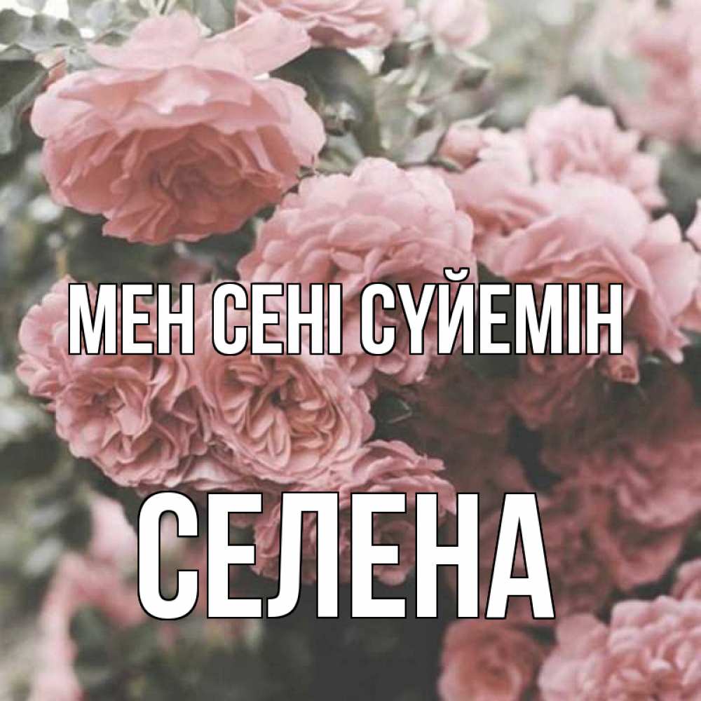Күн сайын ашық хат с именем, Селена Мен сені сүйемін розы 3 Онлайн тегін жүктеп алу тілектері бар керемет карта 
