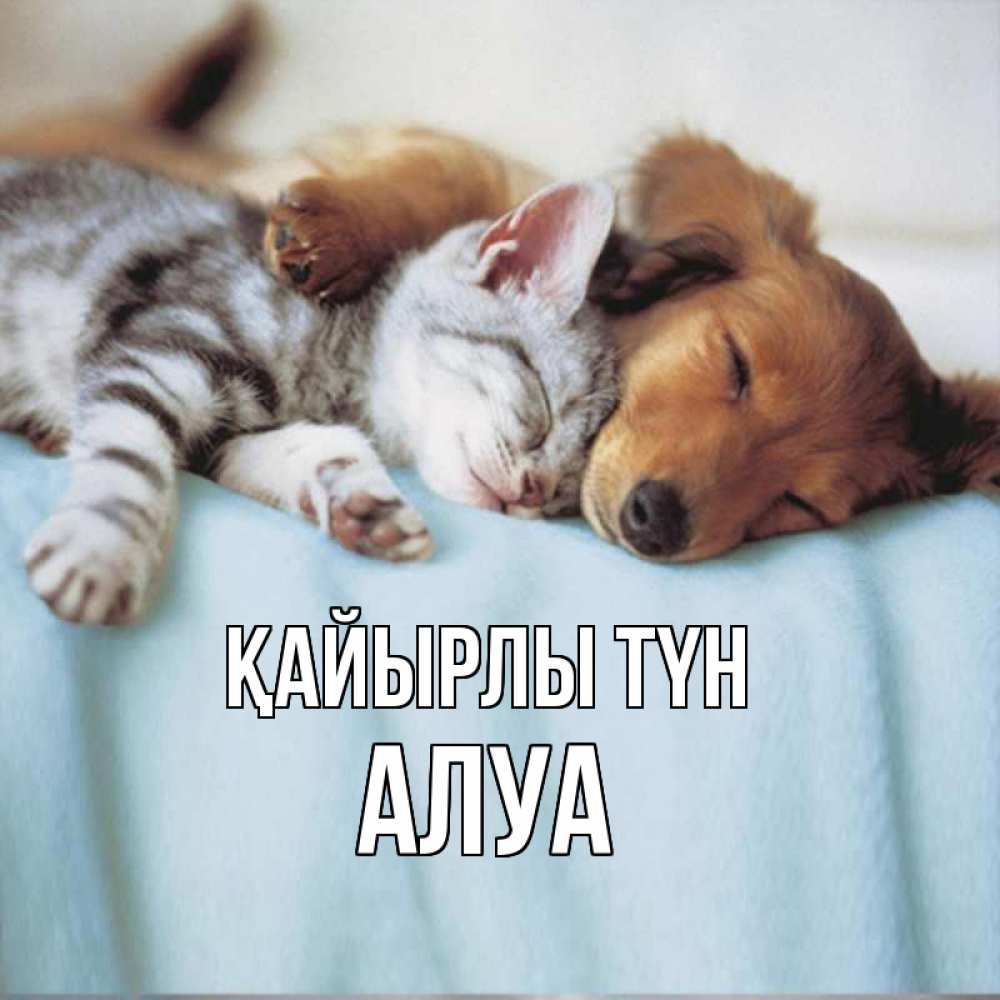 Күн сайын ашық хат с именем, АЛУА Қайырлы түн с животными Онлайн тегін жүктеп алу тілектері бар керемет карта 