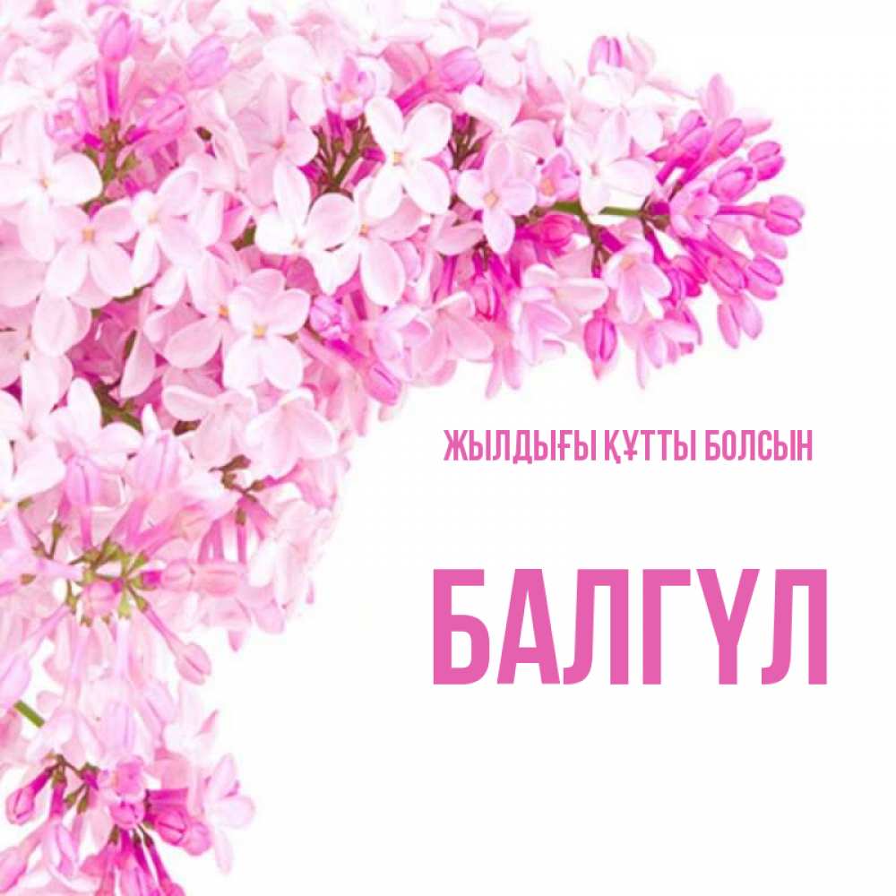 Күн сайын ашық хат с именем, БАЛГҮЛ Жылдығы құтты болсын Сирень на белом фоне Онлайн тегін жүктеп алу тілектері бар керемет карта 