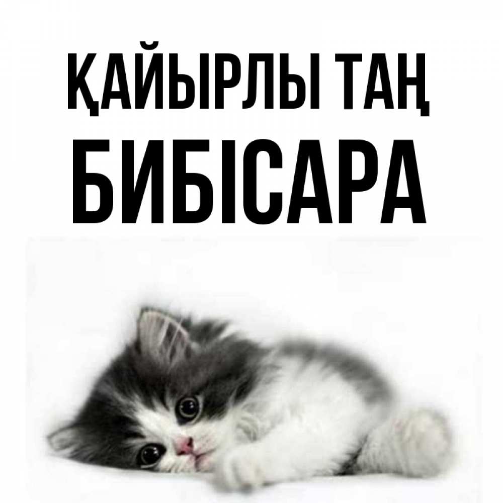 Күн сайын ашық хат с именем, БИБІСАРА Қайырлы таң кот лапки Онлайн тегін жүктеп алу тілектері бар керемет карта 