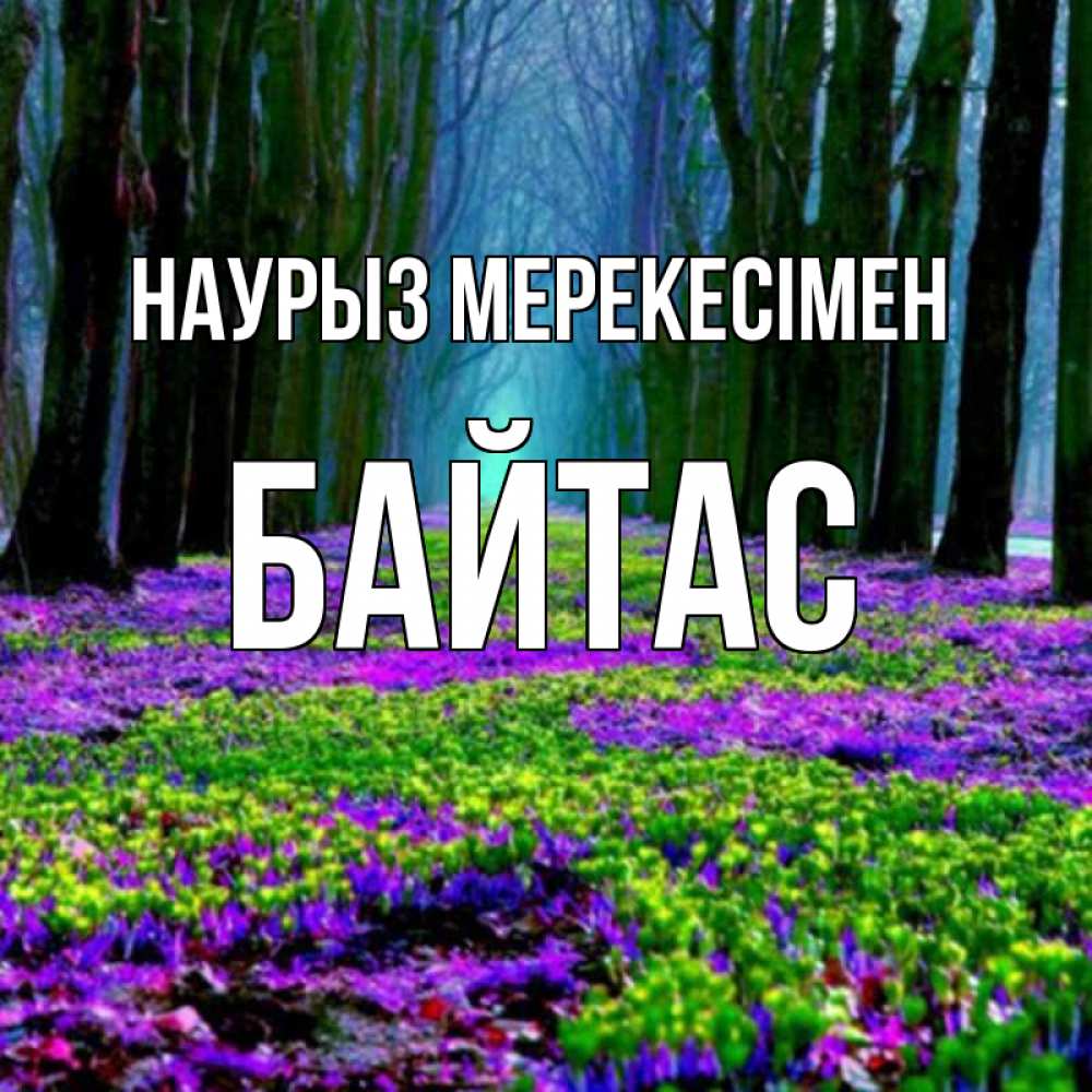 Күн сайын ашық хат с именем, Байтас Наурыз мерекесімен фиолетовые цветы в лесу 1 Онлайн тегін жүктеп алу тілектері бар керемет карта 