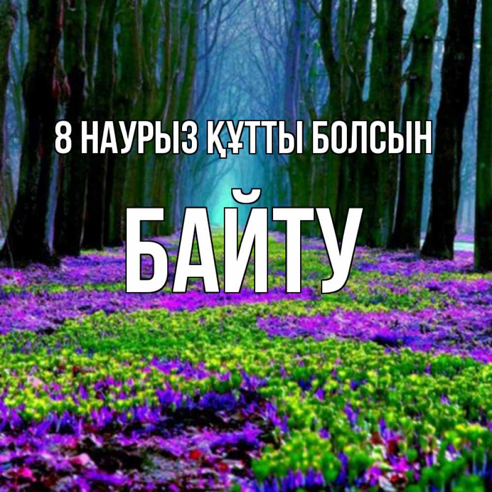 Күн сайын ашық хат с именем, Байту 8 наурыз құтты болсын фиолетовые цветы в лесу 1 Онлайн тегін жүктеп алу тілектері бар керемет карта 