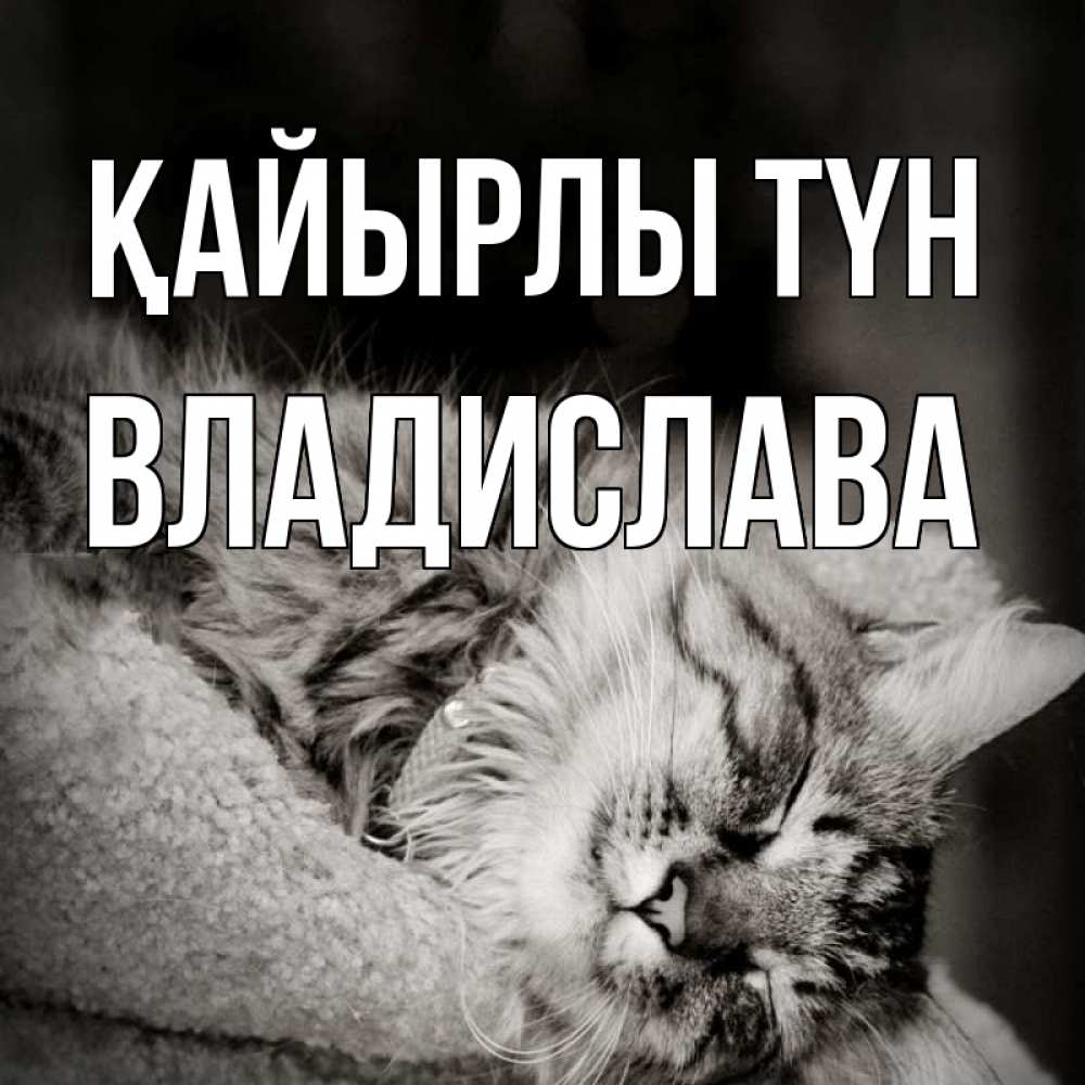 Күн сайын ашық хат с именем, Владислава Қайырлы түн котярик пушистый Онлайн тегін жүктеп алу тілектері бар керемет карта 