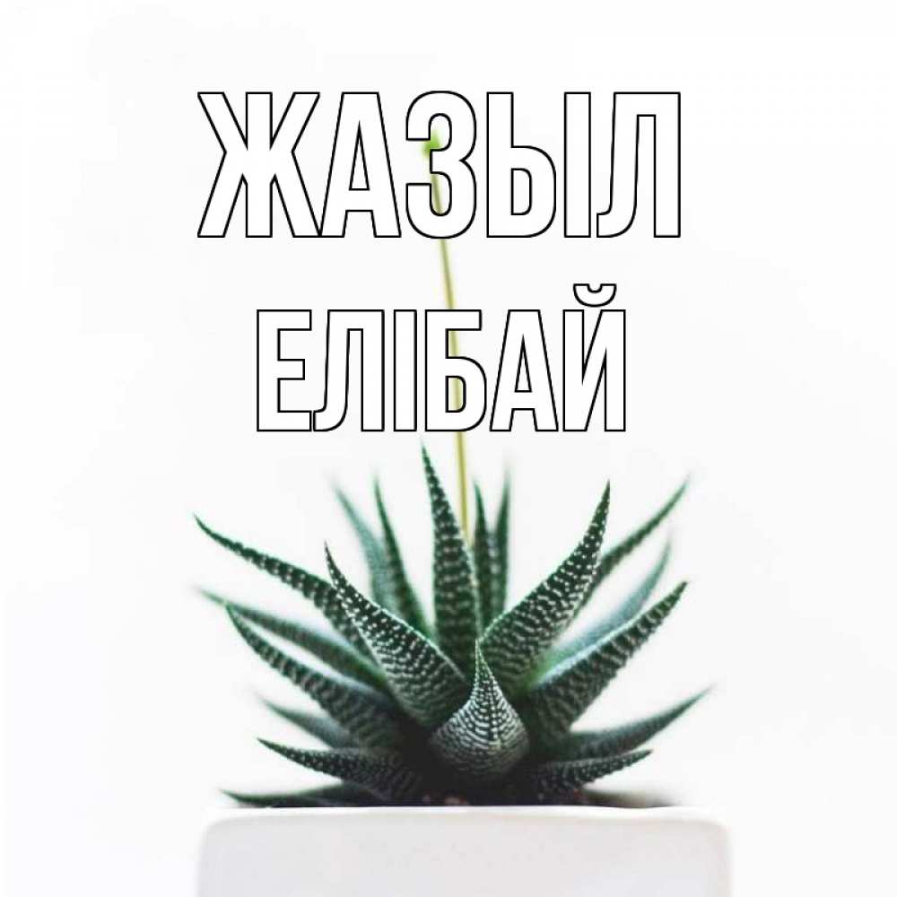 Күн сайын ашық хат с именем, Елібай Жазыл короче это непонятная колючка Онлайн тегін жүктеп алу тілектері бар керемет карта 