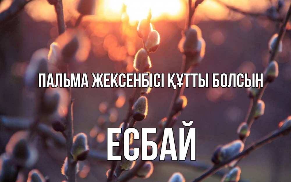 Күн сайын ашық хат с именем, Есбай Пальма жексенбісі құтты болсын верба Онлайн тегін жүктеп алу тілектері бар керемет карта 
