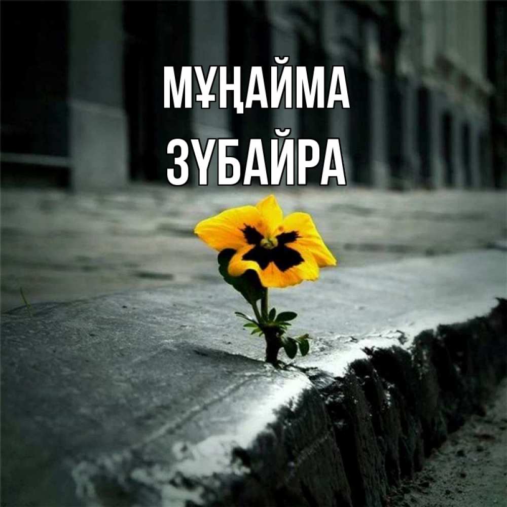 Күн сайын ашық хат с именем, ЗҮБАЙРА Мұңайма не сдавайся Онлайн тегін жүктеп алу тілектері бар керемет карта 