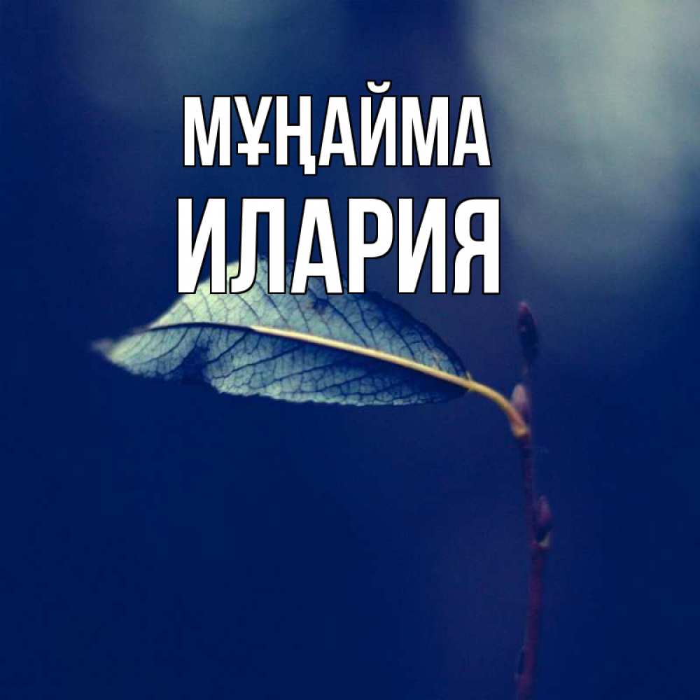 Күн сайын ашық хат с именем, Илария Мұңайма растение Онлайн тегін жүктеп алу тілектері бар керемет карта 