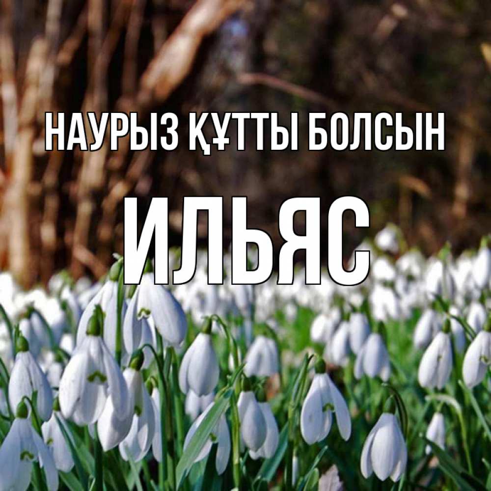 Күн сайын ашық хат с именем, Ильяс Наурыз құтты болсын с подснежниками 1 Онлайн тегін жүктеп алу тілектері бар керемет карта 