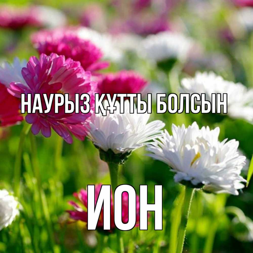 Күн сайын ашық хат с именем, Ион Наурыз құтты болсын наурыз Онлайн тегін жүктеп алу тілектері бар керемет карта 