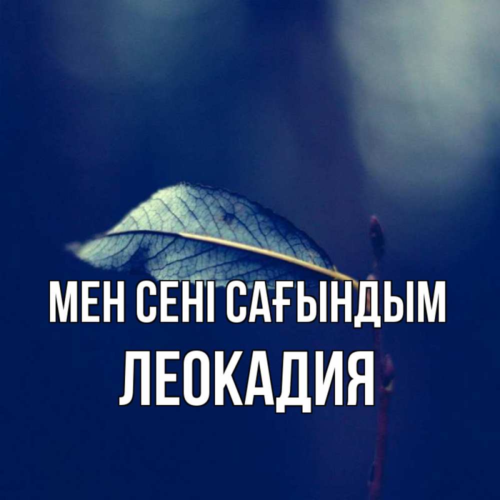 Күн сайын ашық хат с именем, Леокадия Мен сені сағындым одна ветка 1 Онлайн тегін жүктеп алу тілектері бар керемет карта 