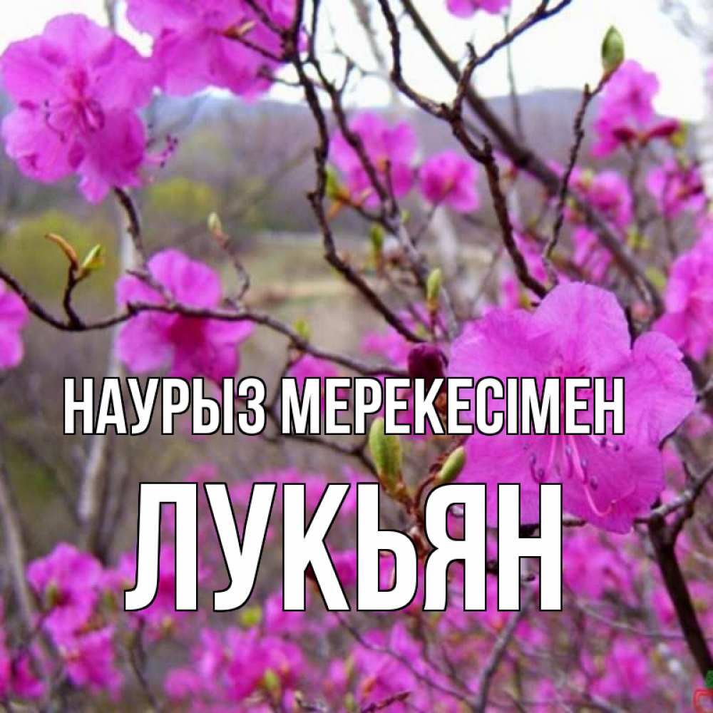 Күн сайын ашық хат с именем, Лукьян Наурыз мерекесімен праздник весны наурыз Онлайн тегін жүктеп алу тілектері бар керемет карта 