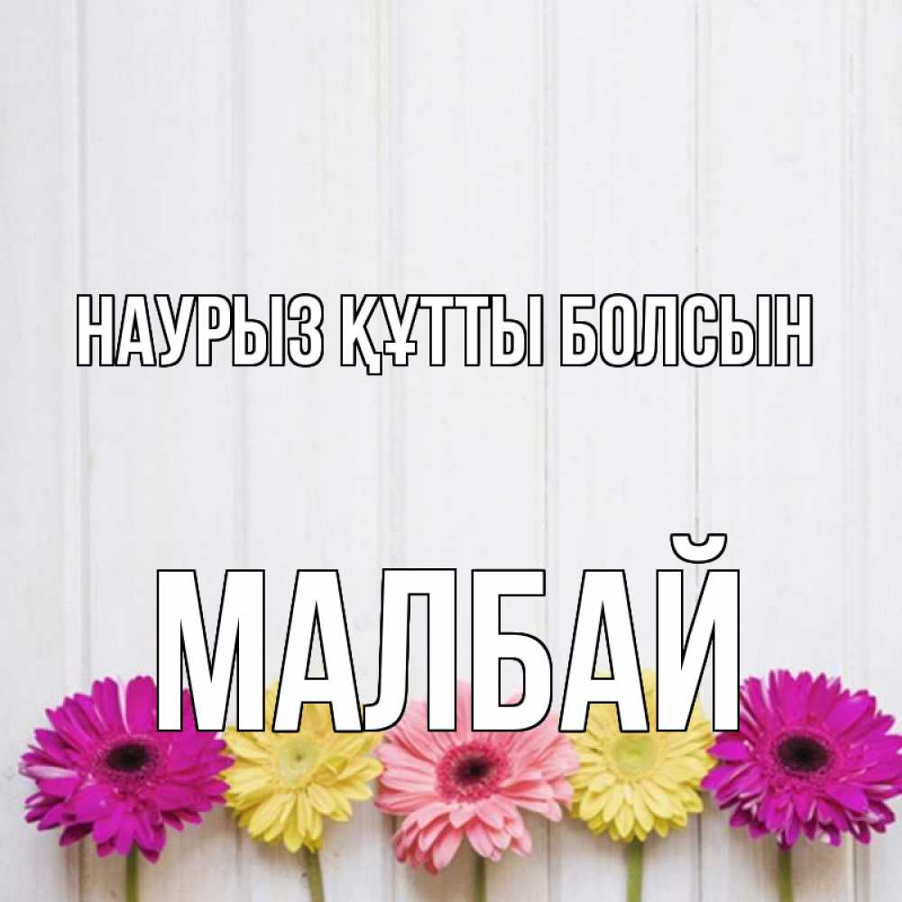 Күн сайын ашық хат с именем, МАЛБАЙ Наурыз құтты болсын женщинам 1 Онлайн тегін жүктеп алу тілектері бар керемет карта 