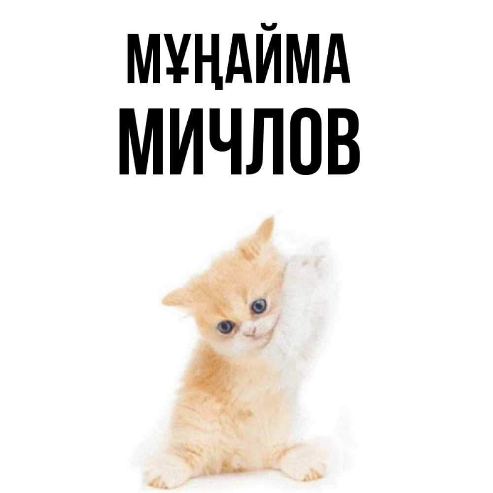 Күн сайын ашық хат с именем, Мичлов Мұңайма просящий кот Онлайн тегін жүктеп алу тілектері бар керемет карта 