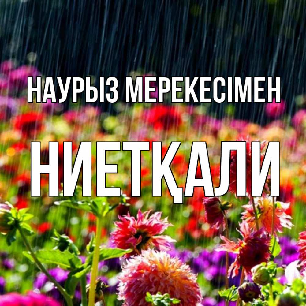 Күн сайын ашық хат с именем, НИЕТҚАЛИ Наурыз мерекесімен цветы под дождиком к международному женскому дню Онлайн тегін жүктеп алу тілектері бар керемет карта 