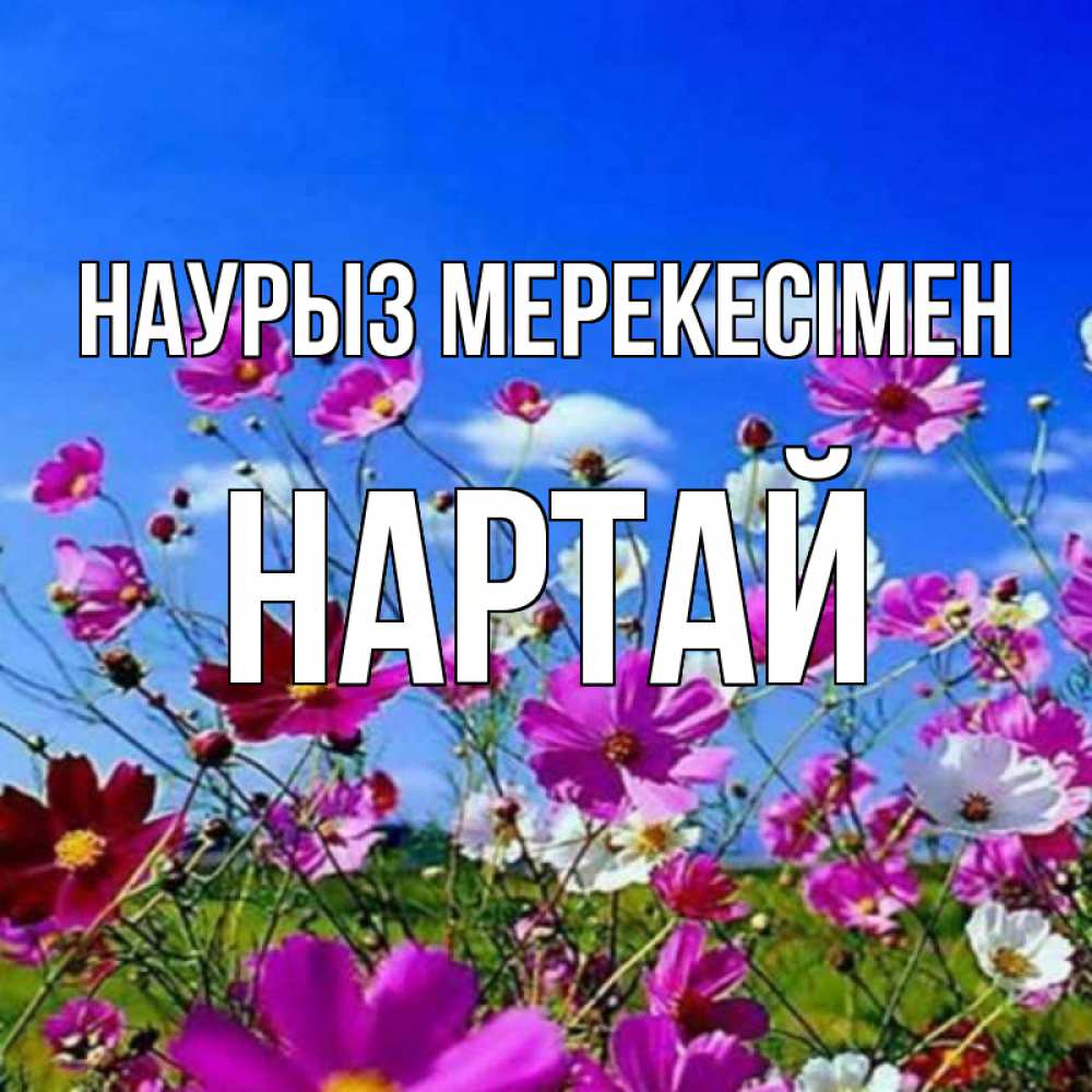 Күн сайын ашық хат с именем, Нартай Наурыз мерекесімен цветы Онлайн тегін жүктеп алу тілектері бар керемет карта 