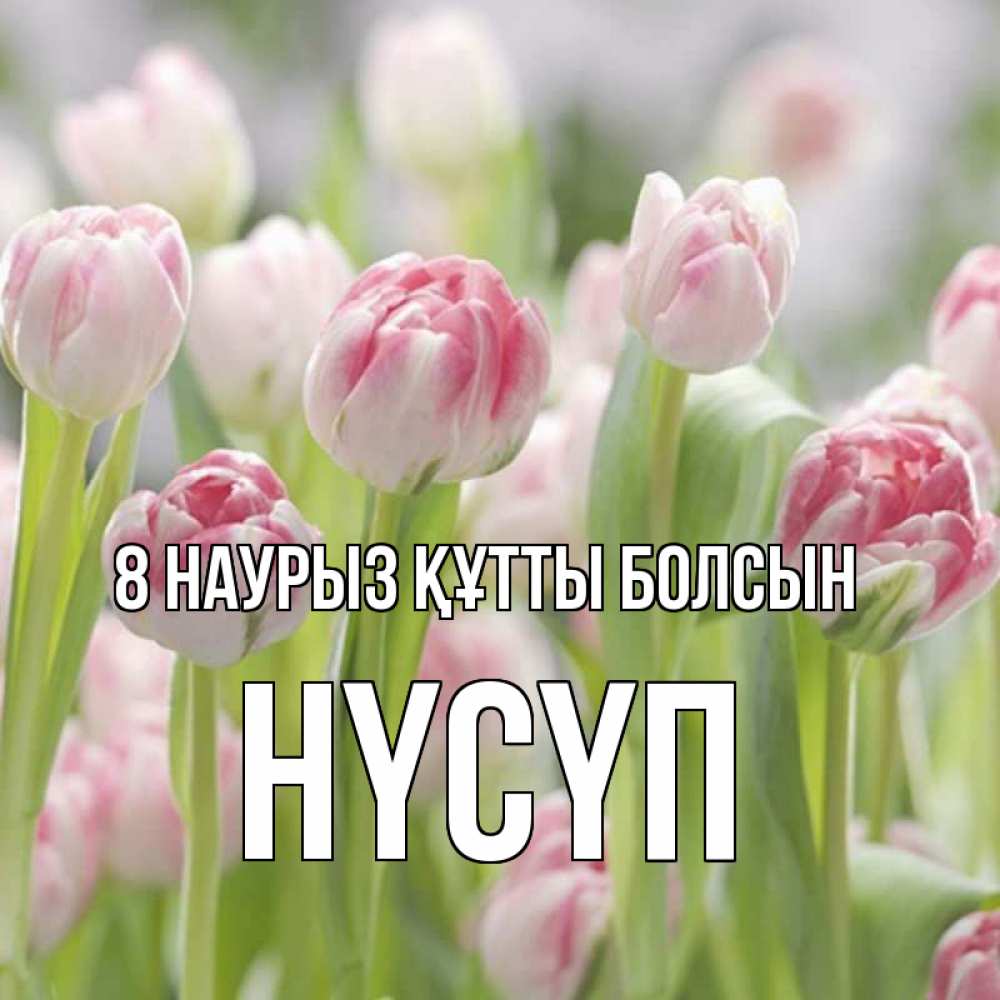 Күн сайын ашық хат с именем, НҮСҮП 8 наурыз құтты болсын цветы Онлайн тегін жүктеп алу тілектері бар керемет карта 