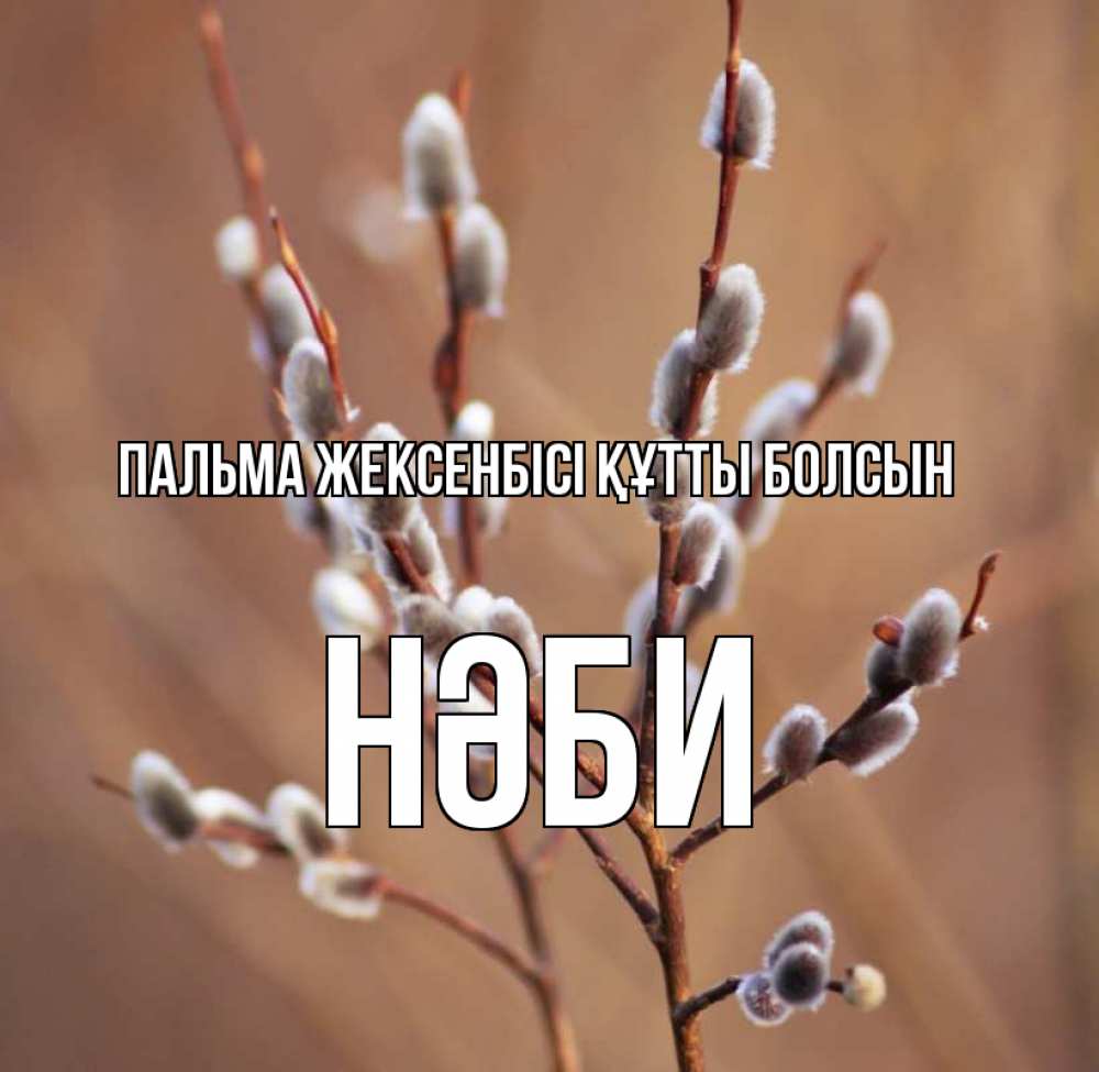 Күн сайын ашық хат с именем, НӘБИ Пальма жексенбісі құтты болсын верба Онлайн тегін жүктеп алу тілектері бар керемет карта 