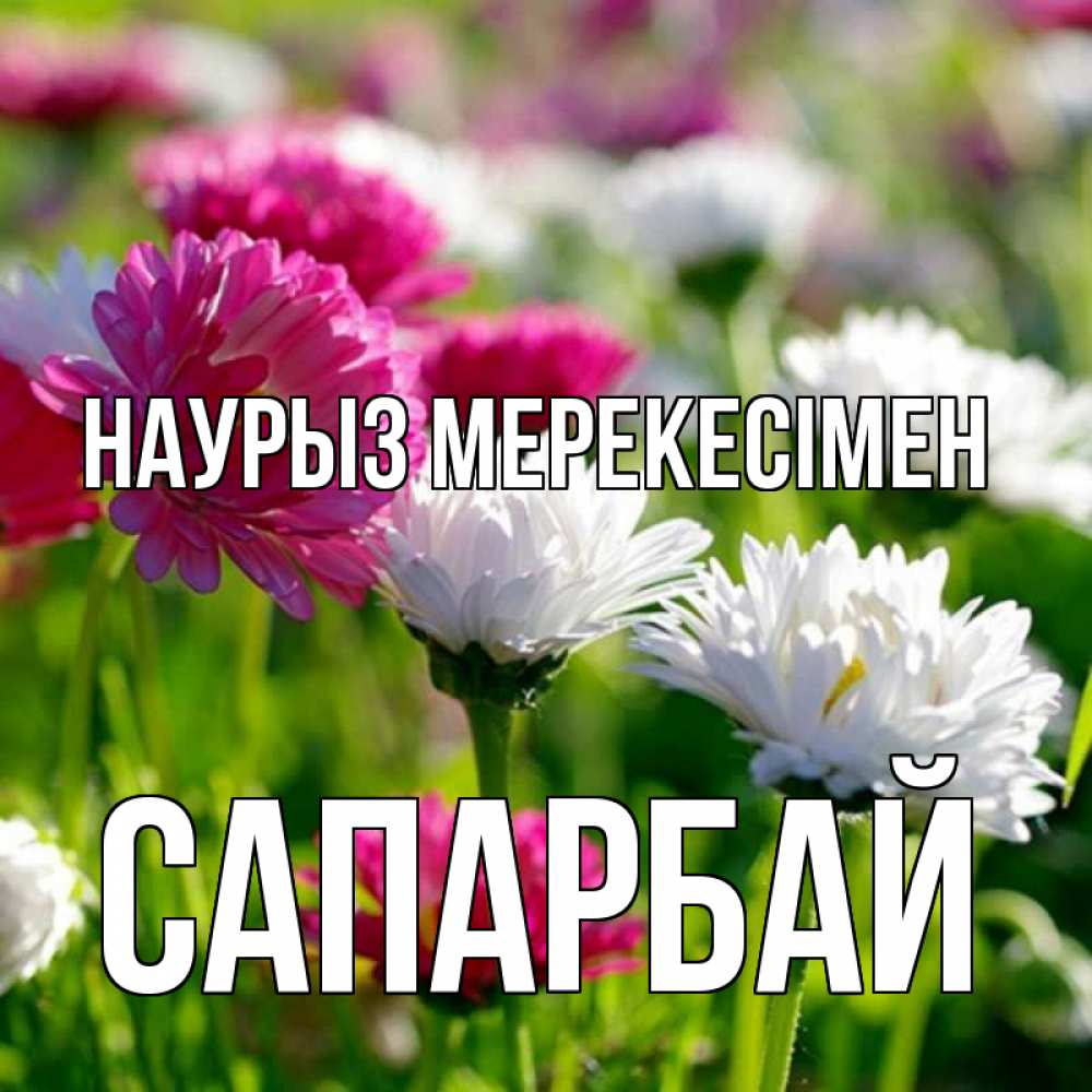 Күн сайын ашық хат с именем, САПАРБАЙ Наурыз мерекесімен праздник весны наурыз красота Онлайн тегін жүктеп алу тілектері бар керемет карта 