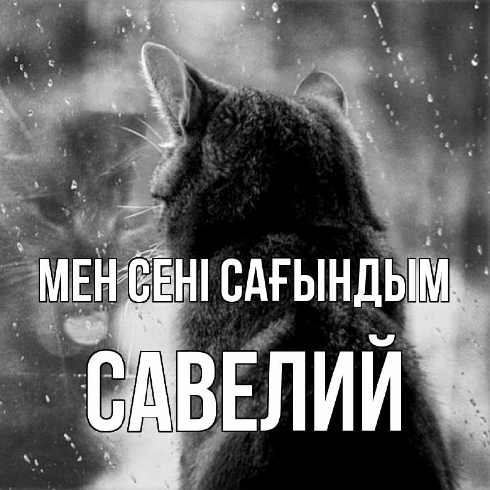 Күн сайын ашық хат с именем, Савелий Мен сені сағындым скорее ко мне приходи 1 Онлайн тегін жүктеп алу тілектері бар керемет карта 