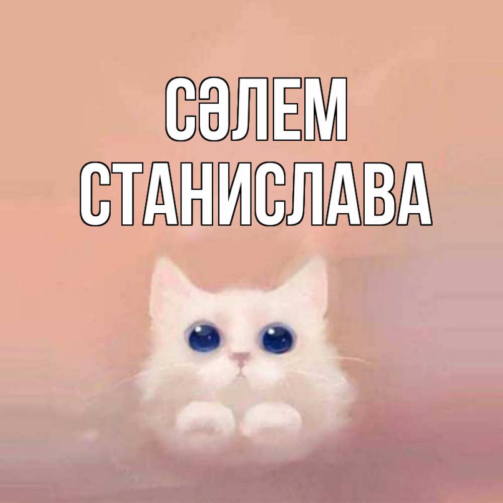 Күн сайын ашық хат с именем, Станислава Сәлем котик белый в полете Онлайн тегін жүктеп алу тілектері бар керемет карта 