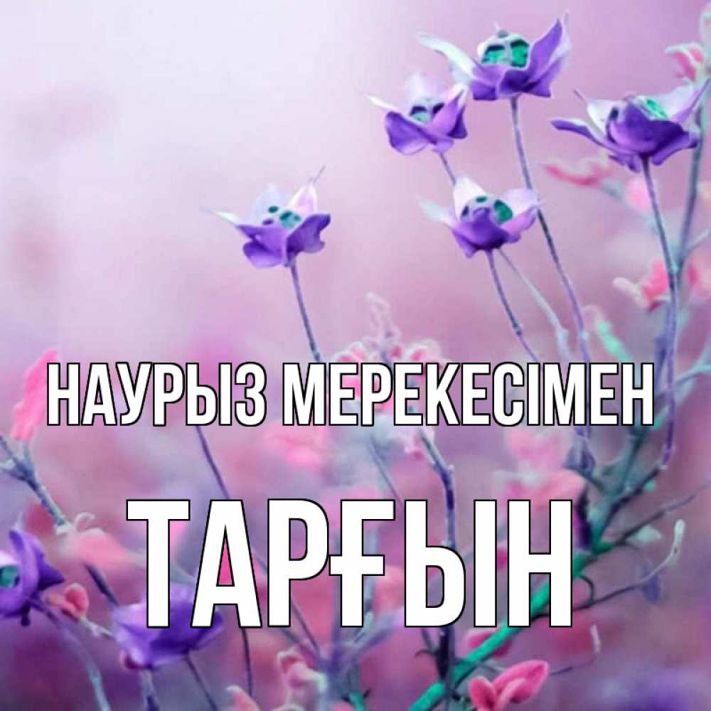 Күн сайын ашық хат с именем, ТАРҒЫН Наурыз мерекесімен международный женский день 2 Онлайн тегін жүктеп алу тілектері бар керемет карта 