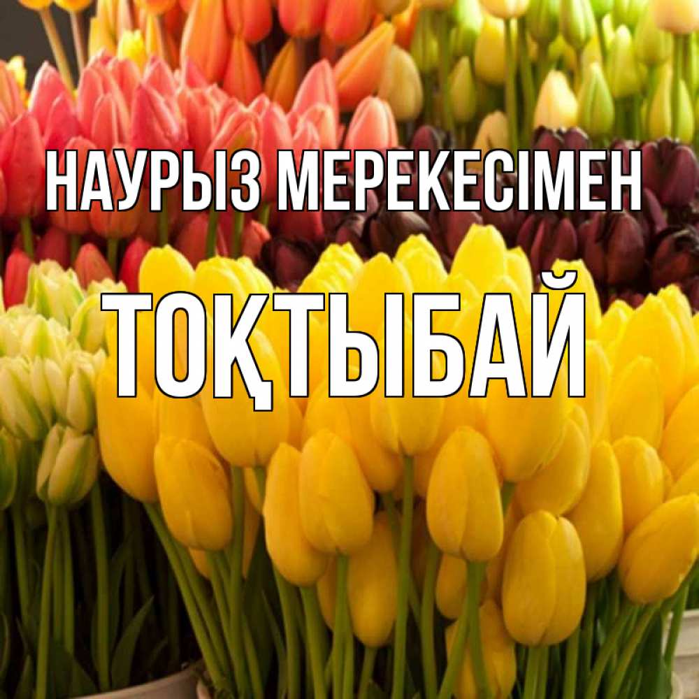 Күн сайын ашық хат с именем, ТОҚТЫБАЙ Наурыз мерекесімен цветы Онлайн тегін жүктеп алу тілектері бар керемет карта 