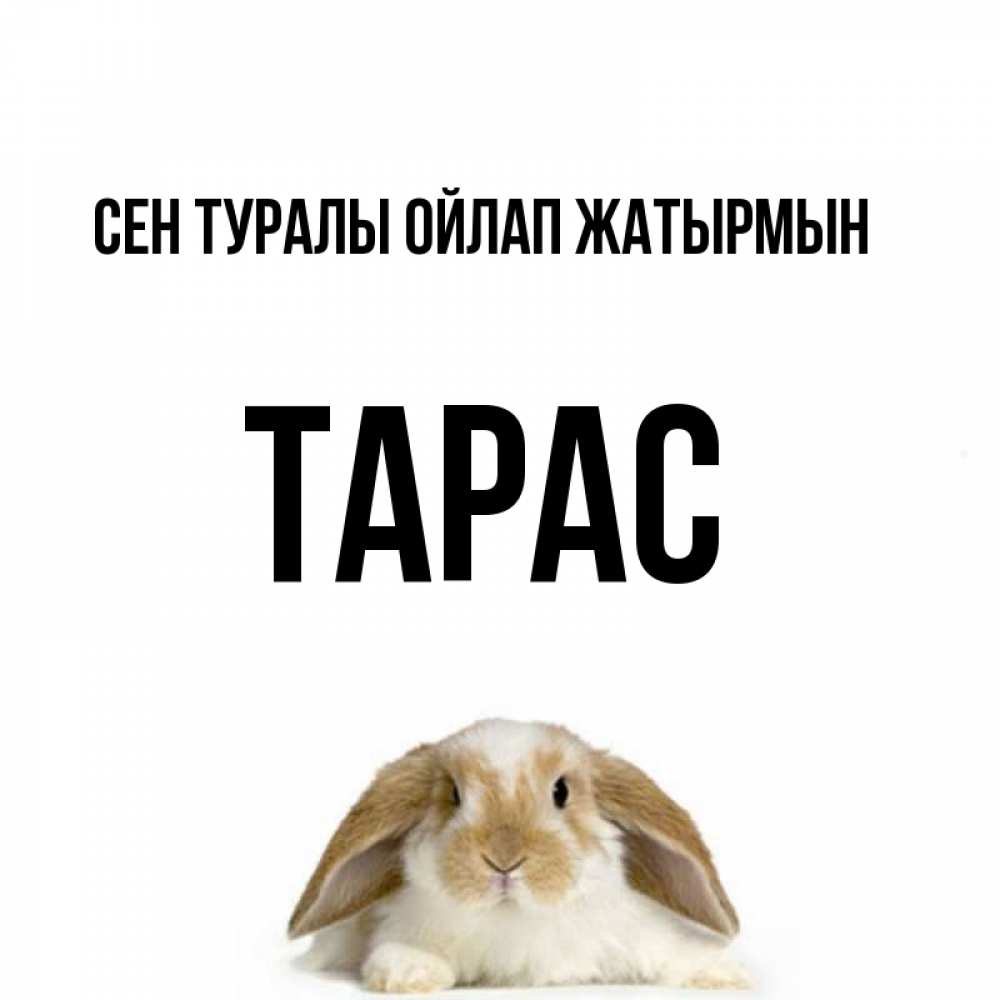 Күн сайын ашық хат с именем, Тарас Сен туралы ойлап жатырмын подписать своими руками онлайн Онлайн тегін жүктеп алу тілектері бар керемет карта 