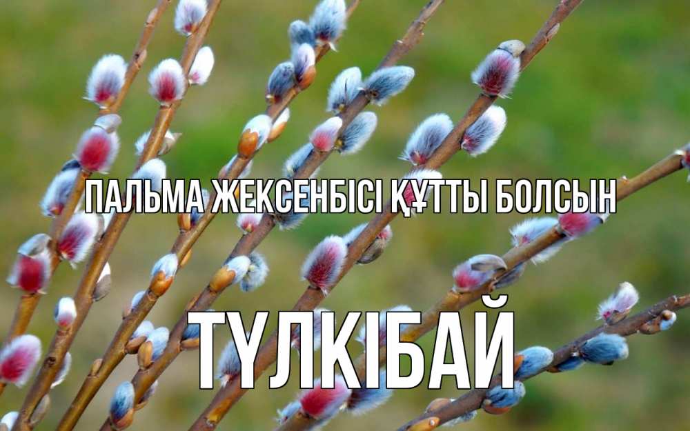 Күн сайын ашық хат с именем, ТҮЛКІБАЙ Пальма жексенбісі құтты болсын верба Онлайн тегін жүктеп алу тілектері бар керемет карта 