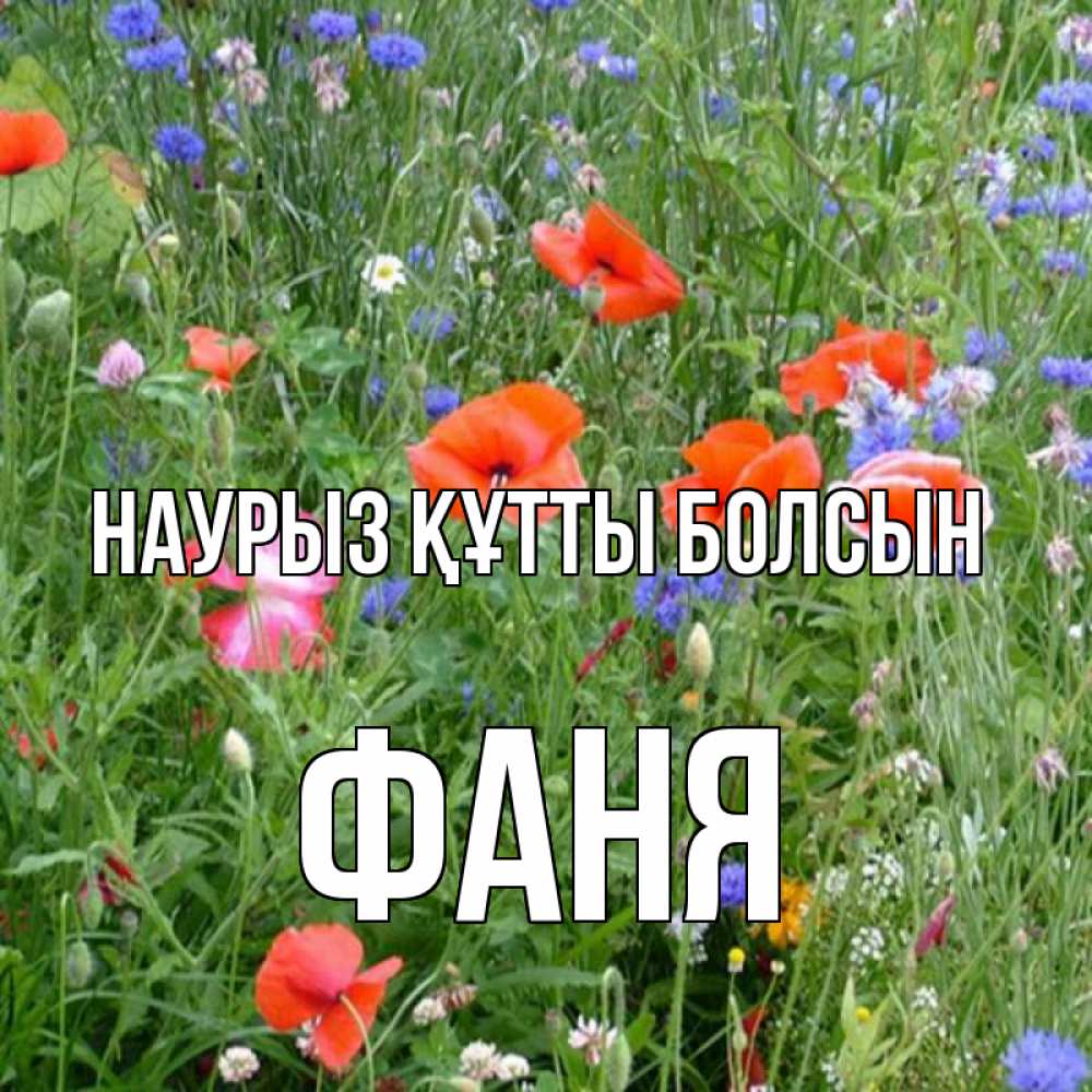 Күн сайын ашық хат с именем, Фаня Наурыз құтты болсын наурыз  4 Онлайн тегін жүктеп алу тілектері бар керемет карта 