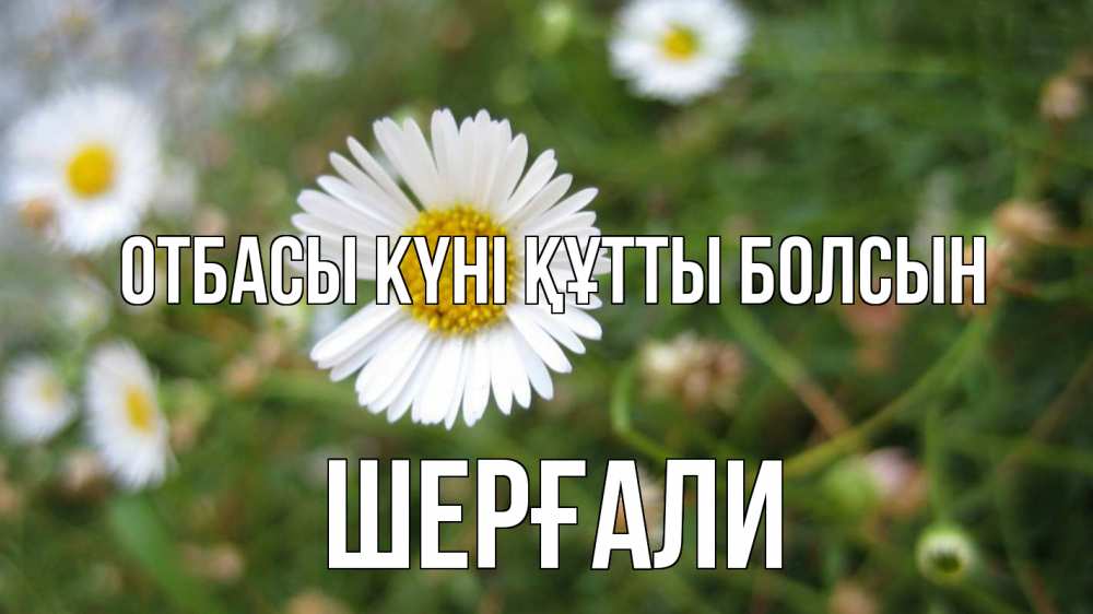 Күн сайын ашық хат с именем, ШЕРҒАЛИ отбасы күні құтты болсын с днем семьи Онлайн тегін жүктеп алу тілектері бар керемет карта 