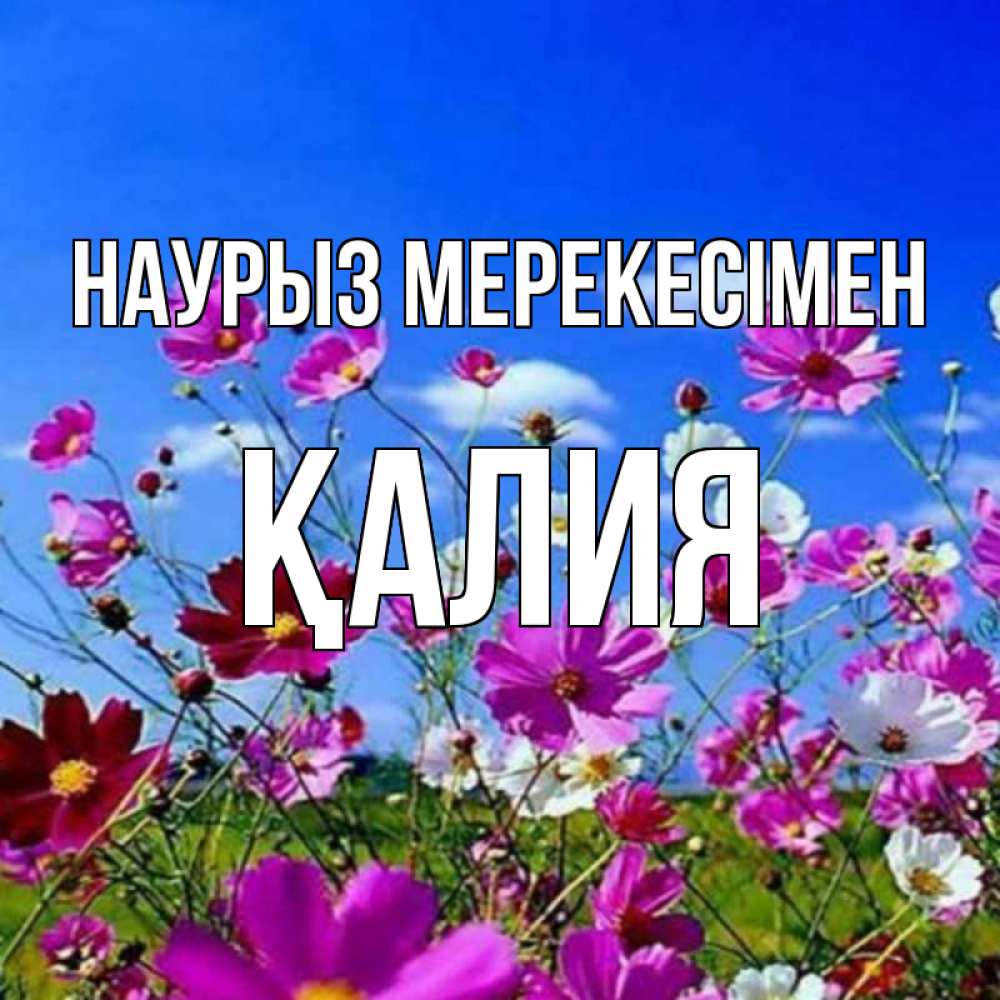 Күн сайын ашық хат с именем, ҚАЛИЯ Наурыз мерекесімен цветы Онлайн тегін жүктеп алу тілектері бар керемет карта 