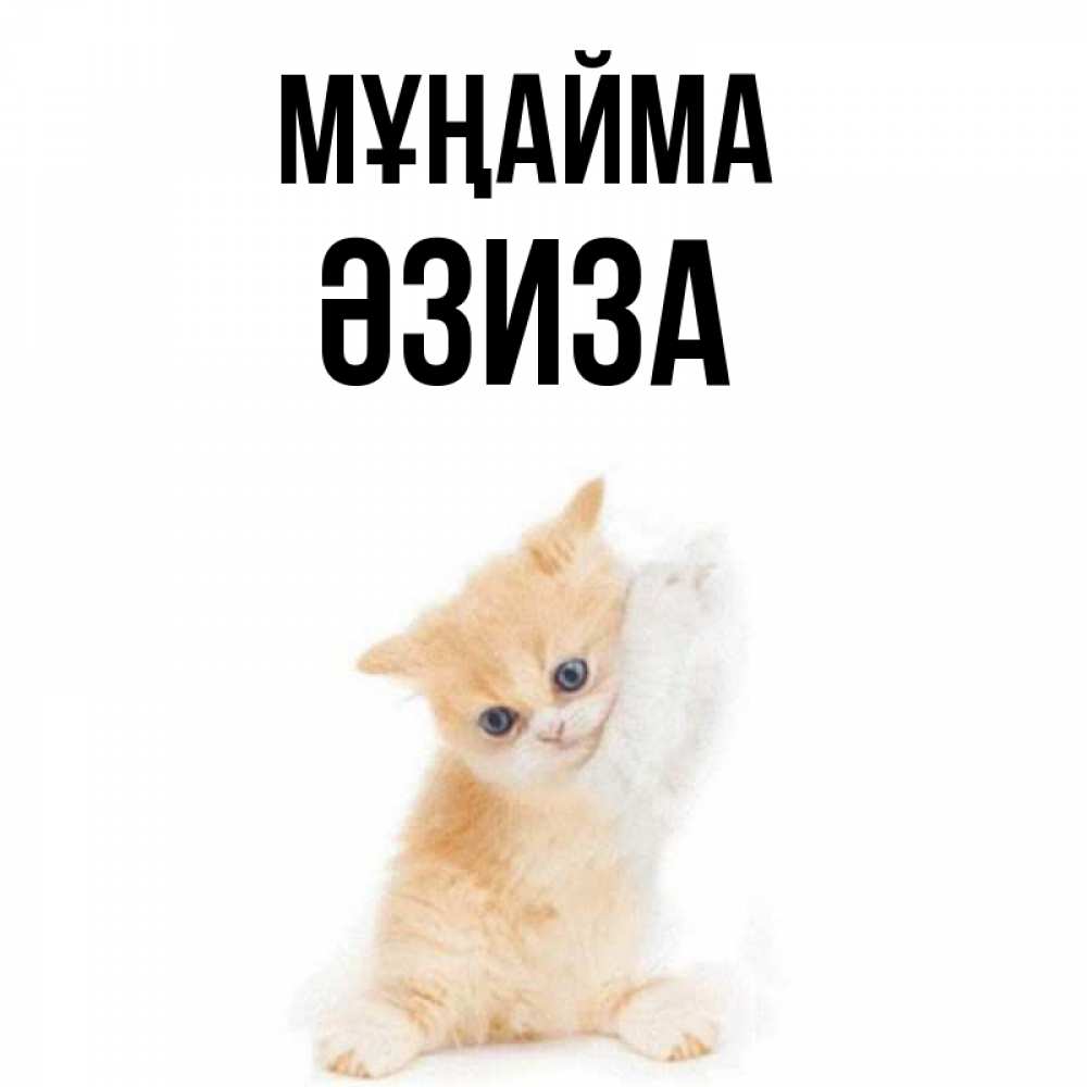 Күн сайын ашық хат с именем, ӘЗИЗА Мұңайма просящий кот Онлайн тегін жүктеп алу тілектері бар керемет карта 