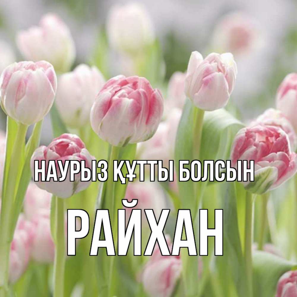 Күн сайын ашық хат с именем, РАЙХАН Наурыз құтты болсын цветы Онлайн тегін жүктеп алу тілектері бар керемет карта 