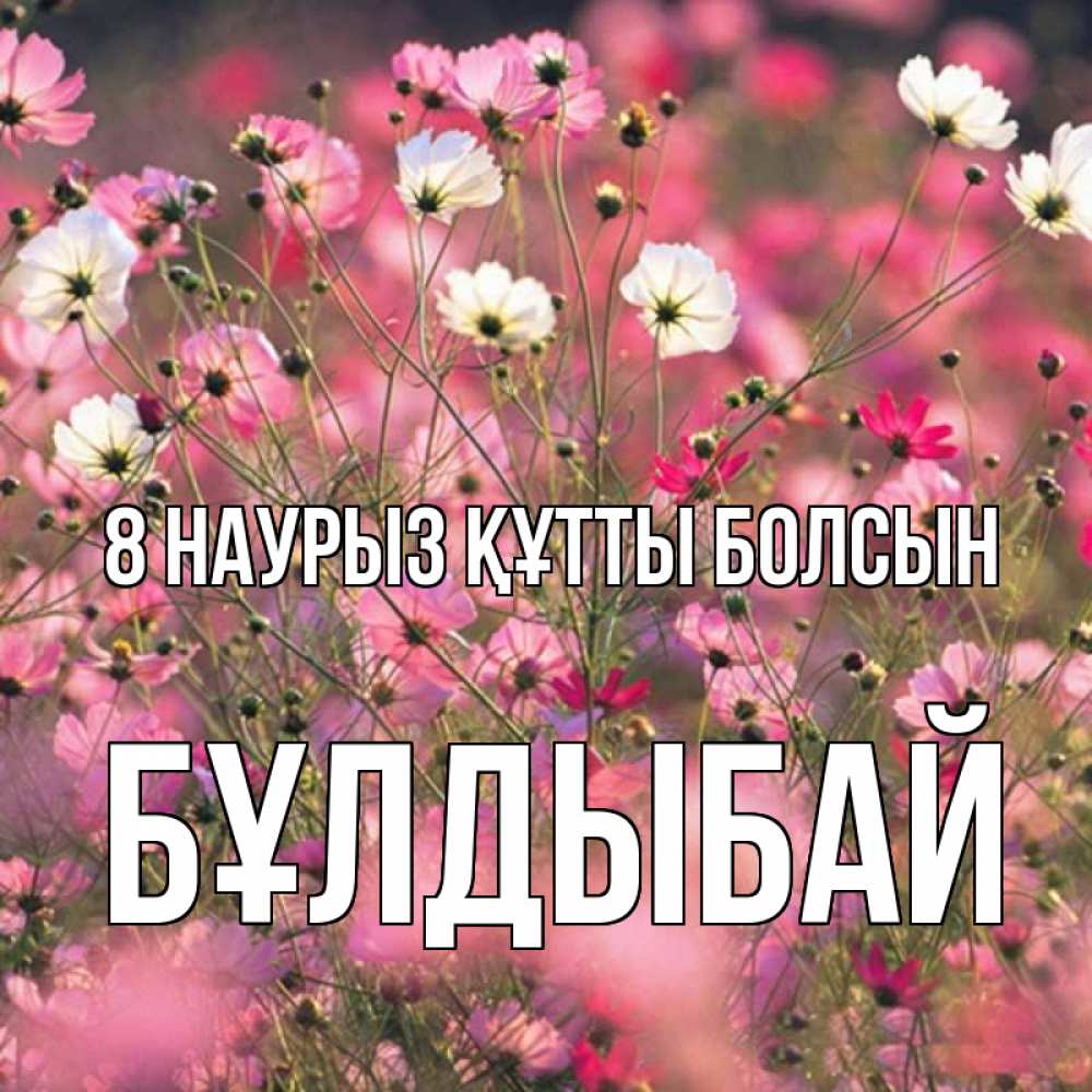 Күн сайын ашық хат с именем, Бұлдыбай 8 наурыз құтты болсын красиво 1 Онлайн тегін жүктеп алу тілектері бар керемет карта 