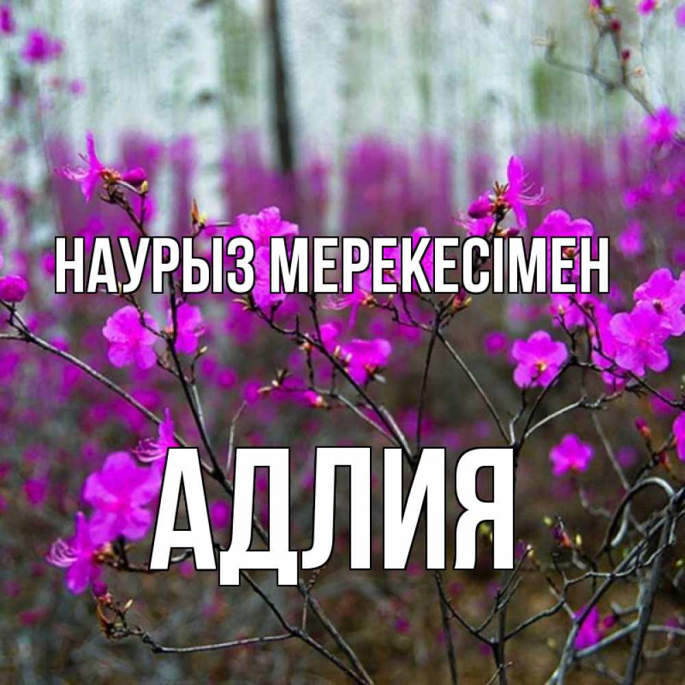 Күн сайын ашық хат с именем, АДЛИЯ Наурыз мерекесімен дикие цветы Онлайн тегін жүктеп алу тілектері бар керемет карта 
