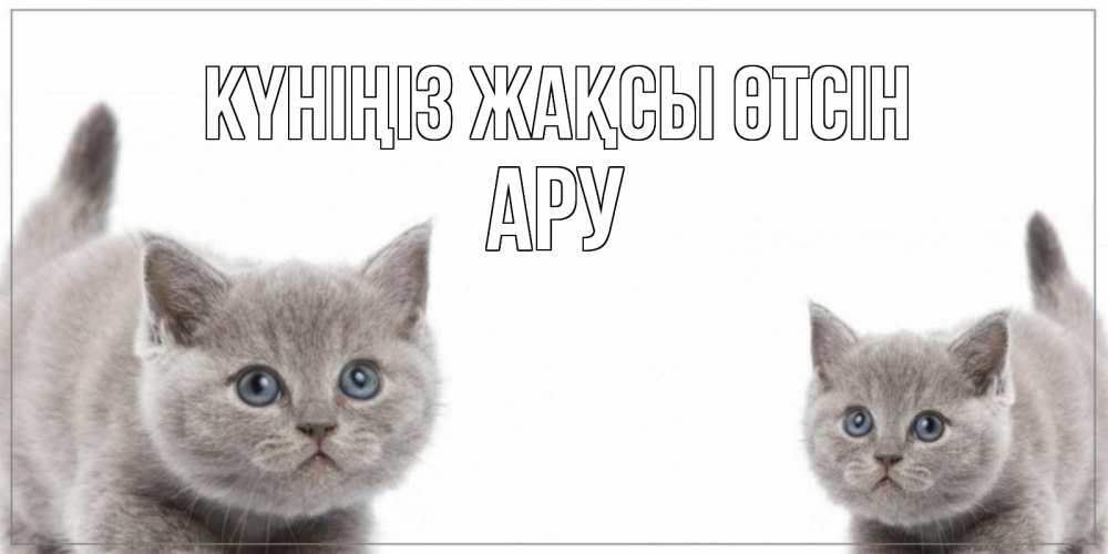 Күн сайын ашық хат с именем, АРУ Күніңіз жақсы өтсін открытка с котами Онлайн тегін жүктеп алу тілектері бар керемет карта 