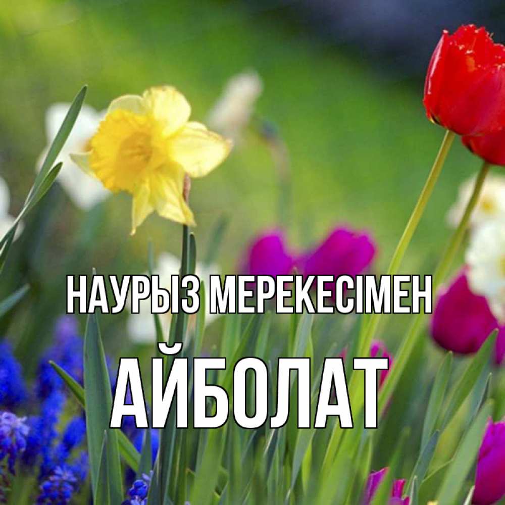 Күн сайын ашық хат с именем, Айболат Наурыз мерекесімен праздник весны наурыз 3 Онлайн тегін жүктеп алу тілектері бар керемет карта 