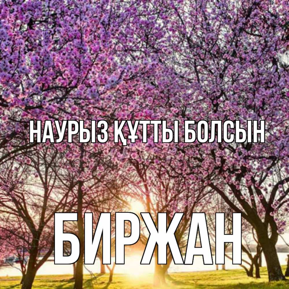 Күн сайын ашық хат с именем, Биржан Наурыз құтты болсын наурыз Онлайн тегін жүктеп алу тілектері бар керемет карта 