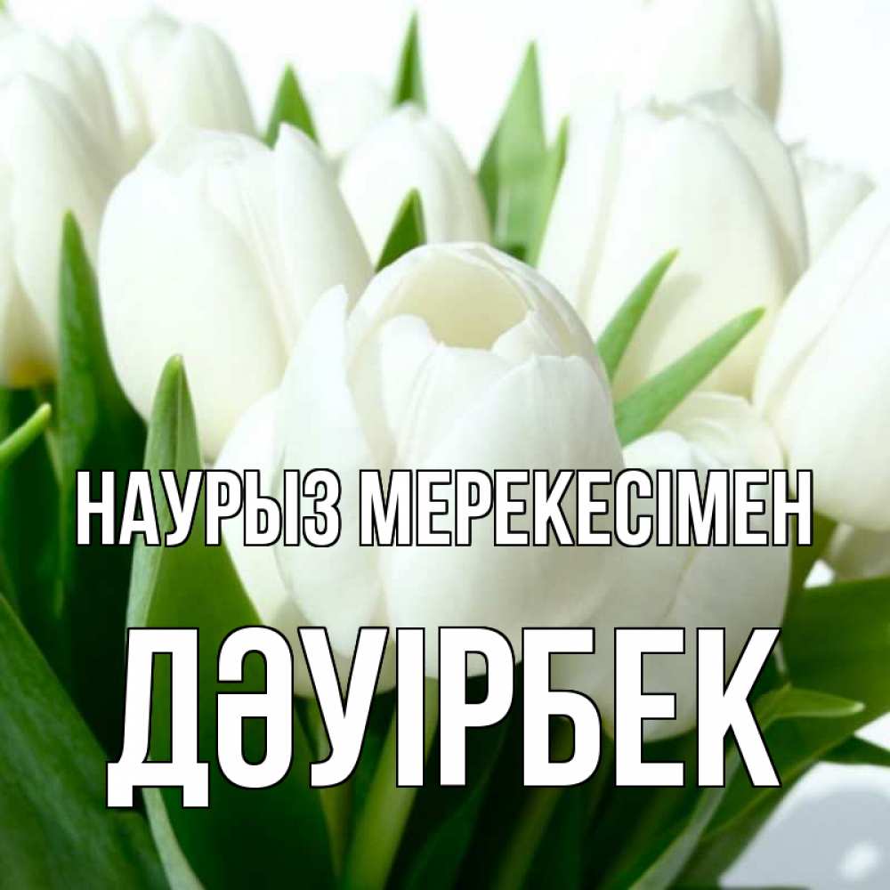 Күн сайын ашық хат с именем, Дәуірбек Наурыз мерекесімен цветы Онлайн тегін жүктеп алу тілектері бар керемет карта 