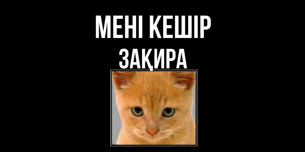 Күн сайын ашық хат с именем, ЗАҚИРА Мені кешір рыжий грустный кот просит прощения Онлайн тегін жүктеп алу тілектері бар керемет карта 