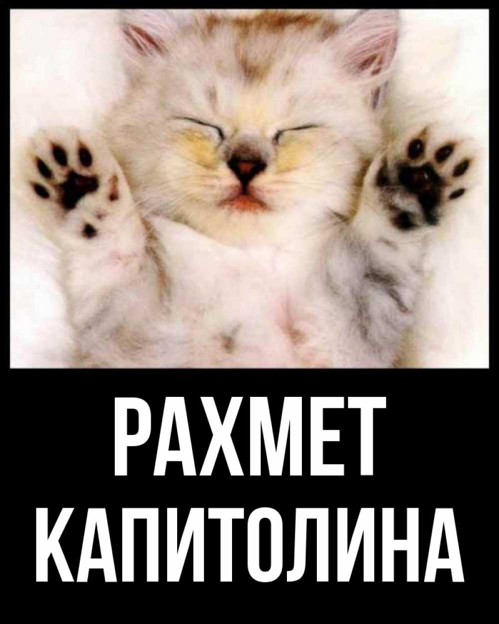 Күн сайын ашық хат с именем, Капитолина рахмет маленький котенок Онлайн тегін жүктеп алу тілектері бар керемет карта 