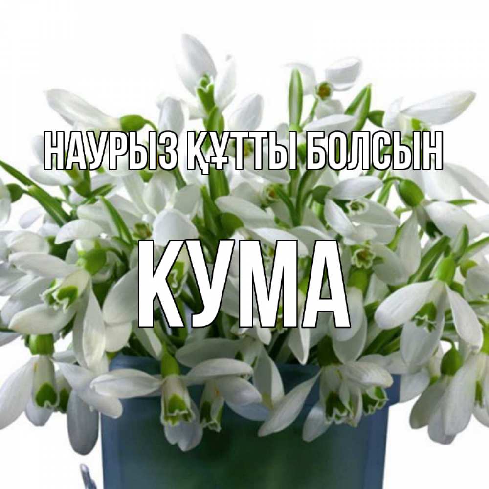 Күн сайын ашық хат с именем, Кума Наурыз құтты болсын цветы к наурызу Онлайн тегін жүктеп алу тілектері бар керемет карта 