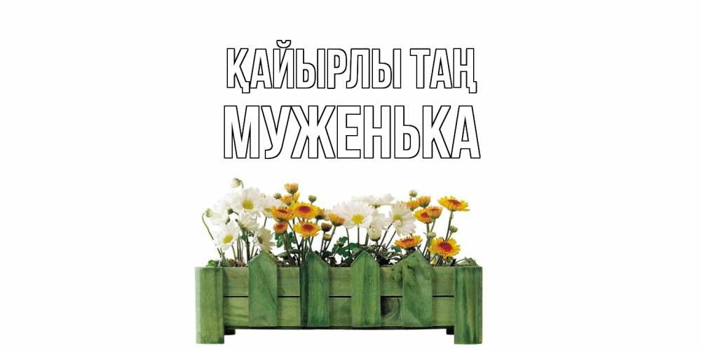 Күн сайын ашық хат с именем, Муженька Қайырлы таң цветы Онлайн тегін жүктеп алу тілектері бар керемет карта 