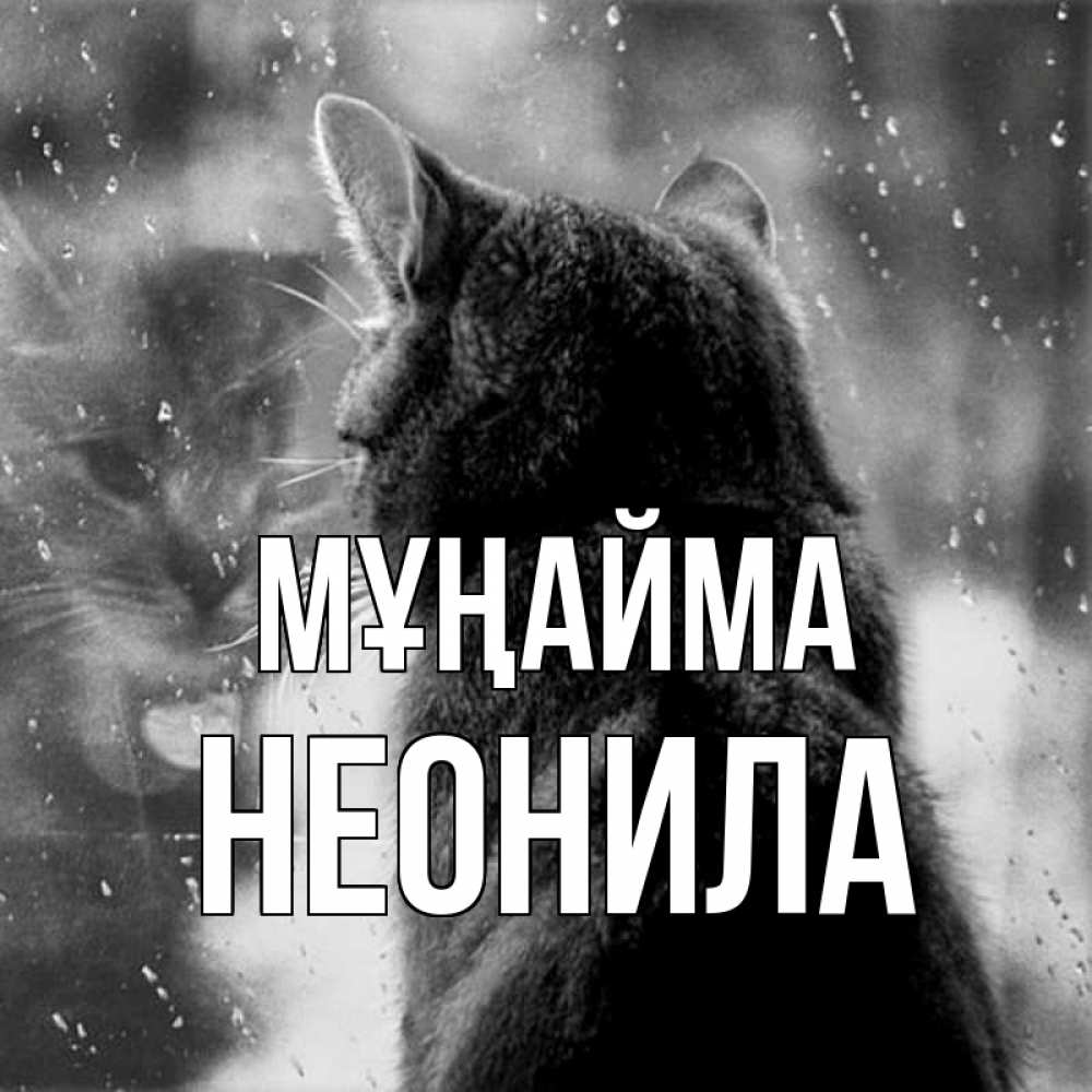 Күн сайын ашық хат с именем, Неонила Мұңайма отражение кота 1 Онлайн тегін жүктеп алу тілектері бар керемет карта 